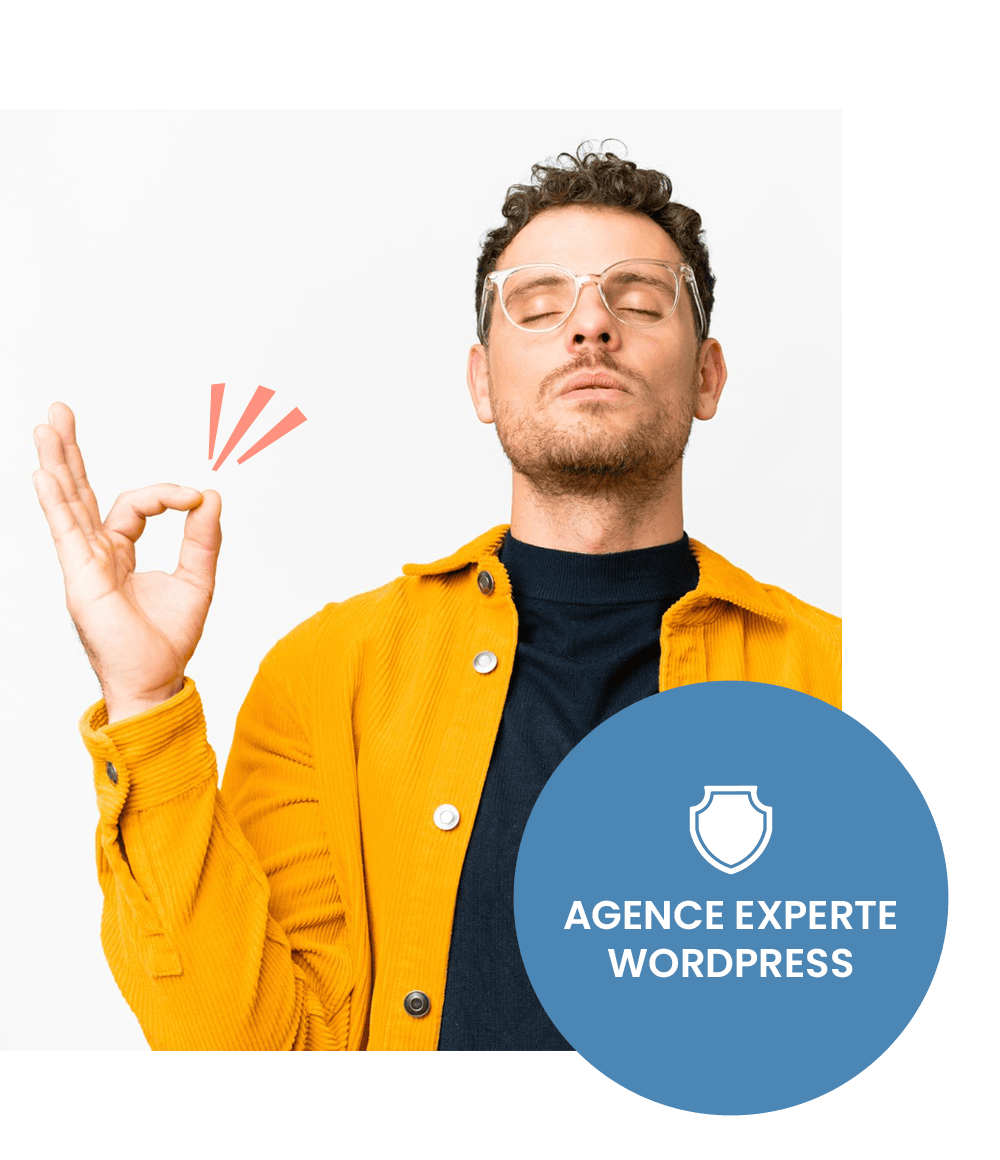 agence experte wordpress